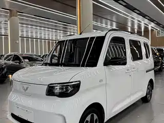 Wuling Motors Zhiguang NEV 2025