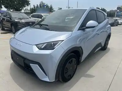 BYD Seagull 2024