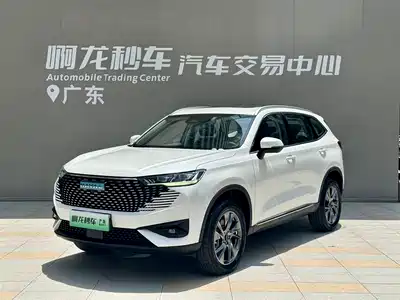 Haval H6 New Energy 2023