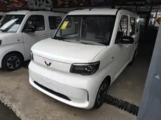 Wuling Motors Wuling Zhiguang NEV 2025