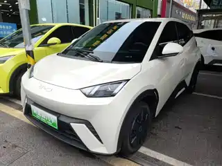 BYD Seagull 2025