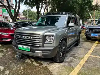 Haval Meng Long NEV 2024
