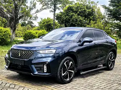 WEY Wei VV7 GT 2019