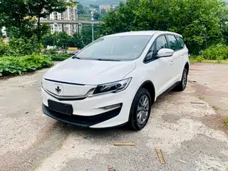 Ruilan Auto Maple 80v 2021