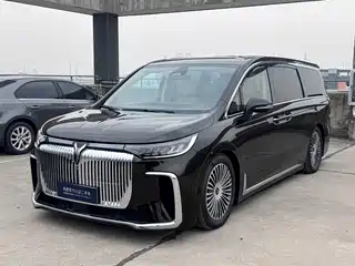Voyah Auto Dreamer 2024