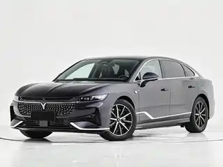 Voyah Auto Zhuiguang 2023