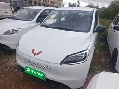 Wuling Motors Wuling Hongguang New Energy 2025