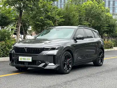 Voyah Auto FREE 2024