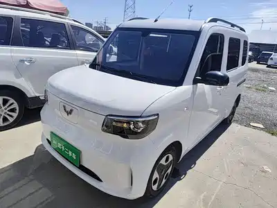 Wuling Motors Zhiguang NEV 2025