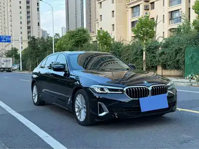 BMW 5 Series New Energy 2020