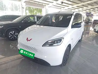 Wuling Motors Wuling Hongguang New Energy 2025