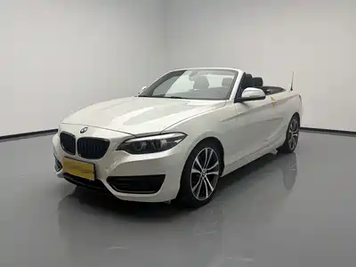 BMW 2 Series (Import) 2019