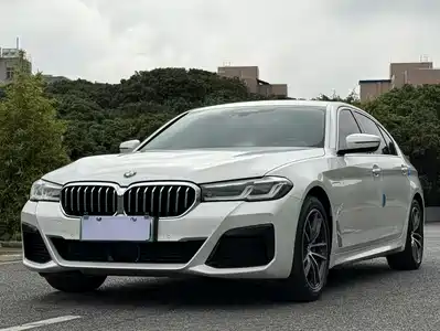 BMW 5 Series New Energy 2020