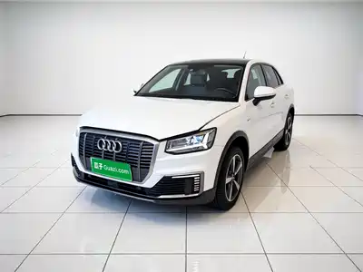 Audi Audi Q2L e-tron 2019