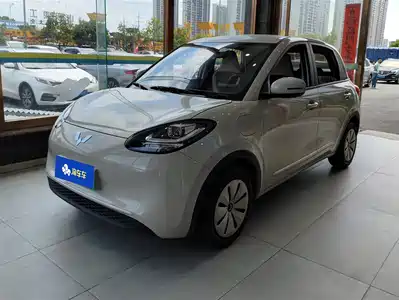 Wuling Motors Bingo 2024