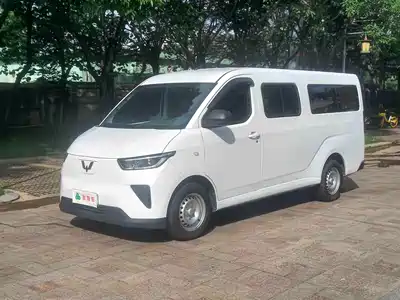 Wuling Motors Wuling Yangguang 2024