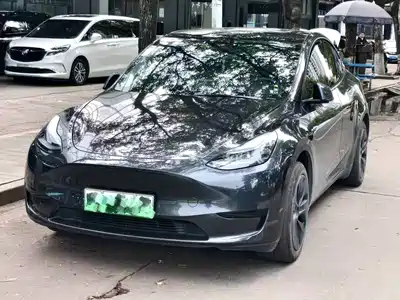 Tesla Model Y L 2025