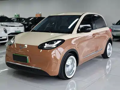 Wuling Motors Bingo 2024
