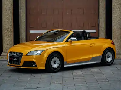 Audi TTS 2010