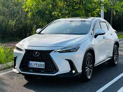 Lexus Lexus NX 2024