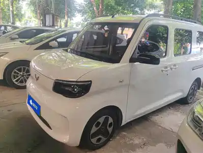 Wuling Motors Zhiguang NEV 2025