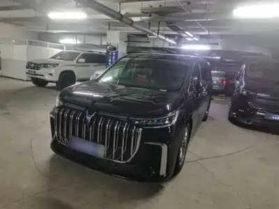 Voyah Auto Dreamer 2023