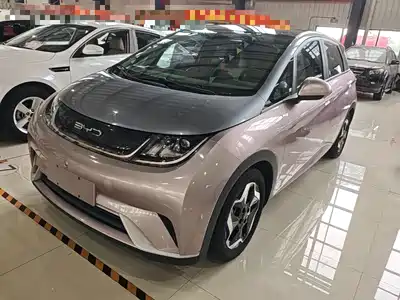 BYD Dolphin 2022