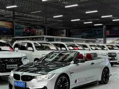 BMW BMW M4 2014