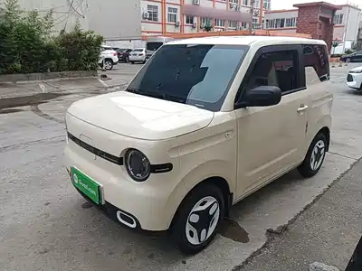 Geely Galaxy Panda 2025