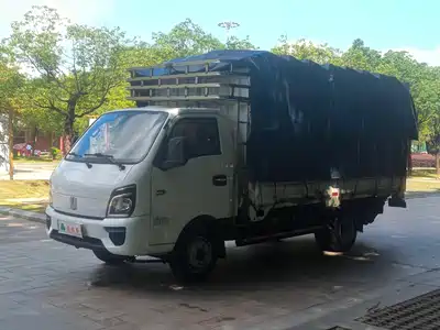 Yuan Cheng Farizon FR 2023