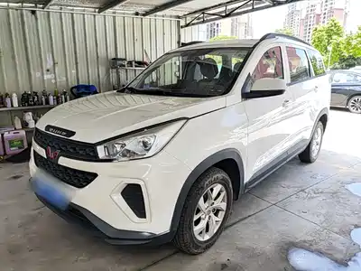 Wuling Motors Wuling Hongguang S3 2019