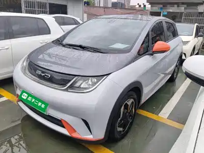 BYD Dolphin 2022