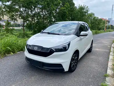 JMCG New Energy Yizhi EV3 2019