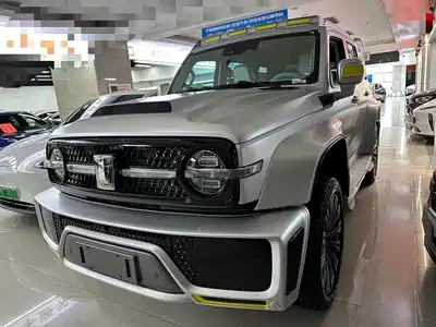Crossboundary Auto Co-created Tank 300 2021