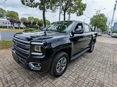 Jiangling Dadao 2024