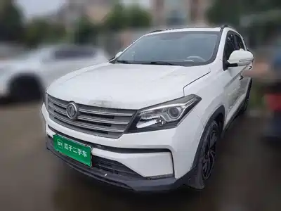 Dongfeng Fengguang Fengguang S560 2021