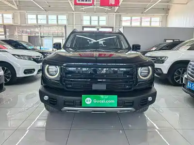Haval Big Dog 2024