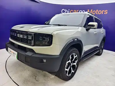 Jetour Shanhai Jetour Shanhai T1 2024