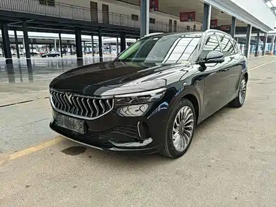 Voyah Auto FREE 2021