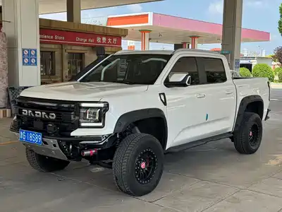Jiangling Dadao 2024