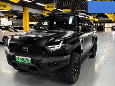 Mengshi 917 2023