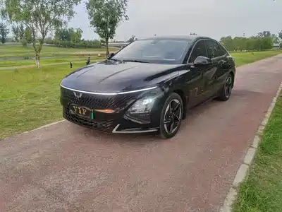 Wuling Motors Xingguang 2024