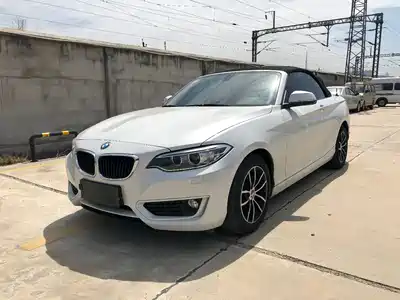 BMW 2 Series (Import) 2015