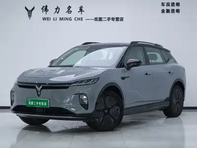 Voyah Auto Voyah Zhiyin 2024