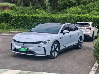 Voyah Auto VOYAH Zhuiguang 2023