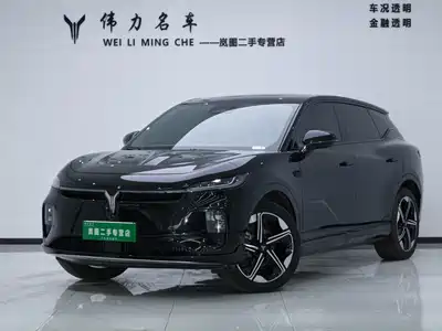 Voyah Auto Voyah Zhiyin 2024