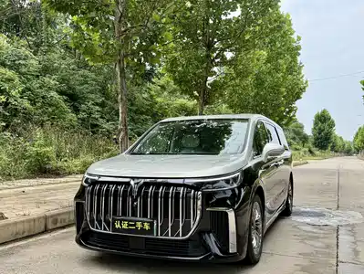 Voyah Auto Dreamer 2022