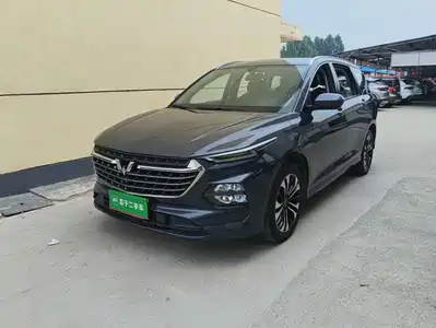 Wuling Motors Wuling Victory 2020