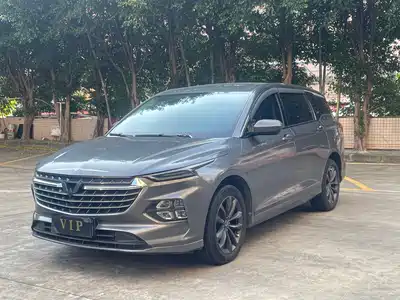 Wuling Motors Wuling Victory 2020