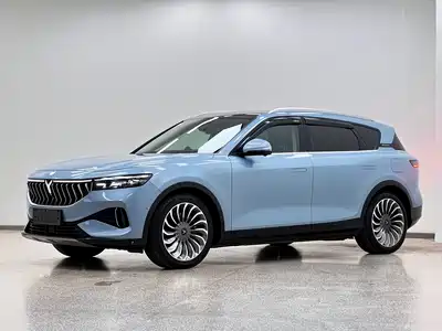 Voyah Auto FREE 2021